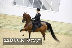 22BUCK_07137 proof