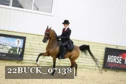 22BUCK_07138 proof