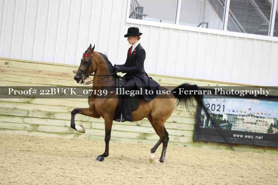 Proof 22BUCK_07139