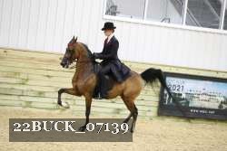 22BUCK_07139 proof