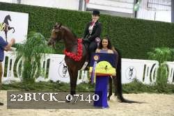 22BUCK_07140 proof