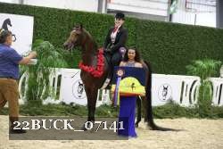22BUCK_07141 proof