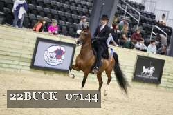 22BUCK_07144 proof