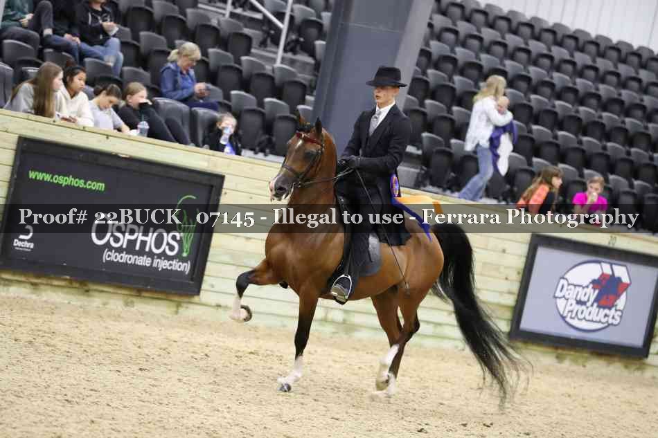 Proof 22BUCK_07145