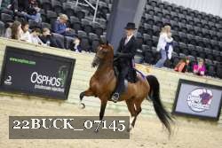 22BUCK_07145 proof