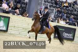 22BUCK_07146 proof