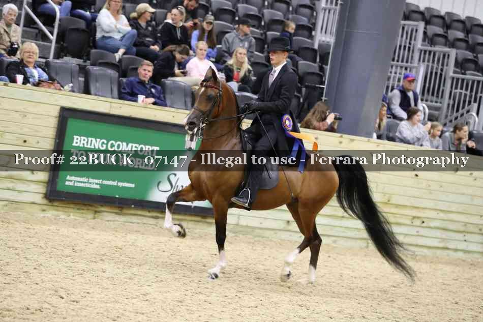 Proof 22BUCK_07147