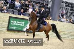 22BUCK_07147 proof