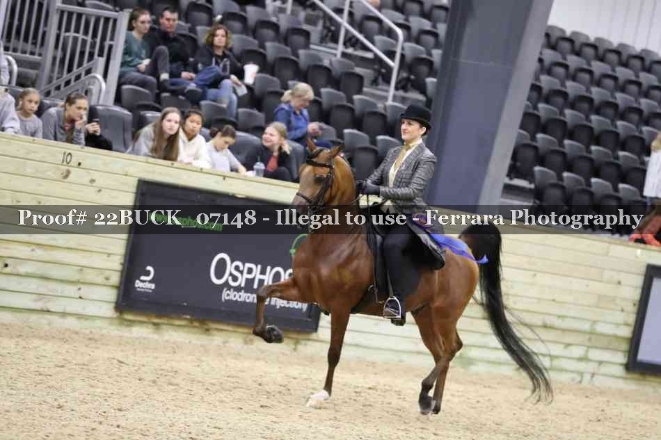 Proof 22BUCK_07148