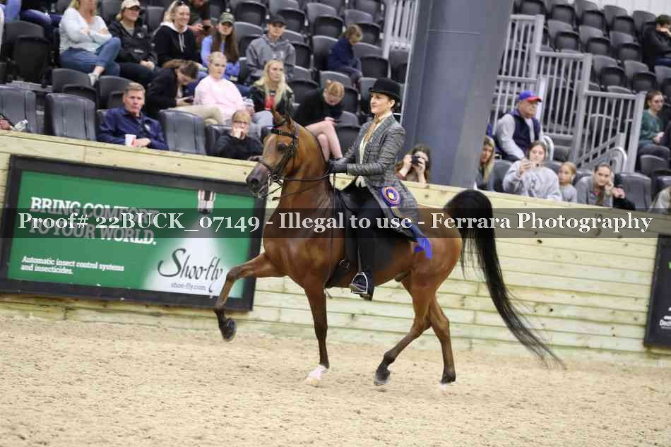 Proof 22BUCK_07149