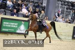 22BUCK_07149 proof