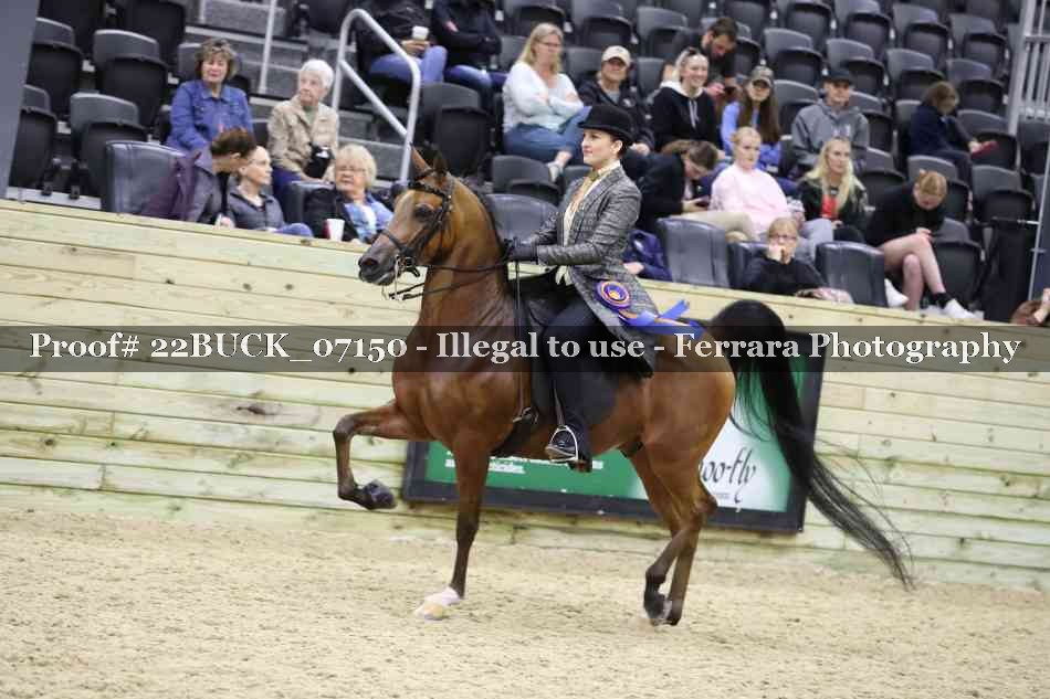 Proof 22BUCK_07150