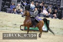 22BUCK_07150 proof