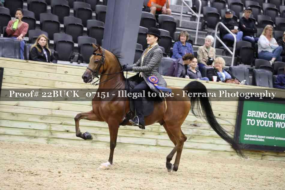 Proof 22BUCK_07151