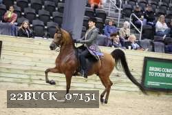 22BUCK_07151 proof