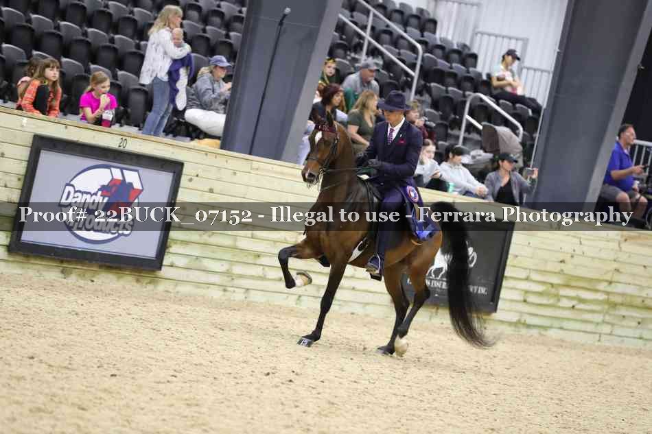 Proof 22BUCK_07152