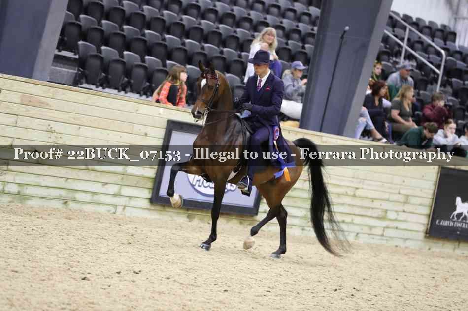 Proof 22BUCK_07153