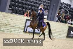 22BUCK_07153 proof