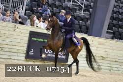 22BUCK_07154 proof