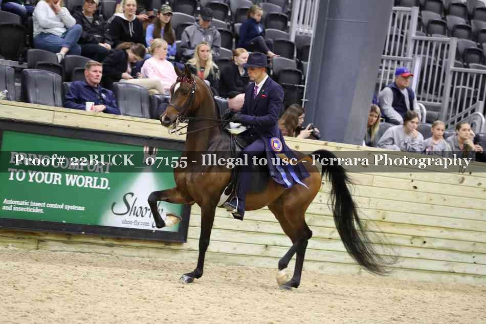 Proof 22BUCK_07155