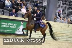 22BUCK_07155 proof