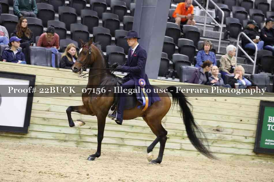 Proof 22BUCK_07156