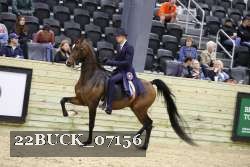 22BUCK_07156 proof