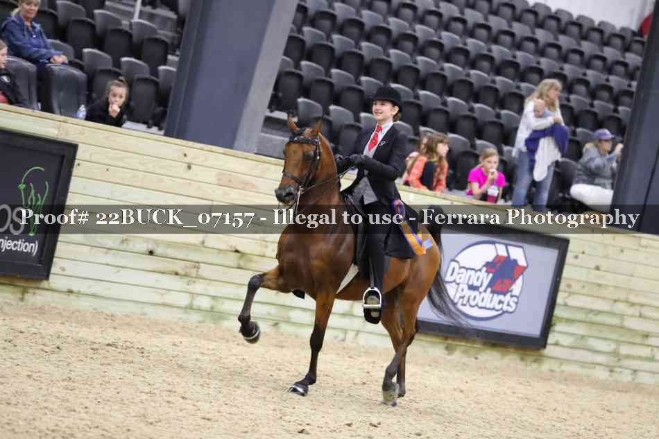 Proof 22BUCK_07157
