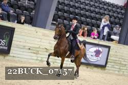 22BUCK_07157 proof
