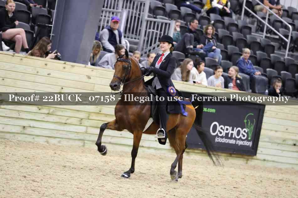 Proof 22BUCK_07158