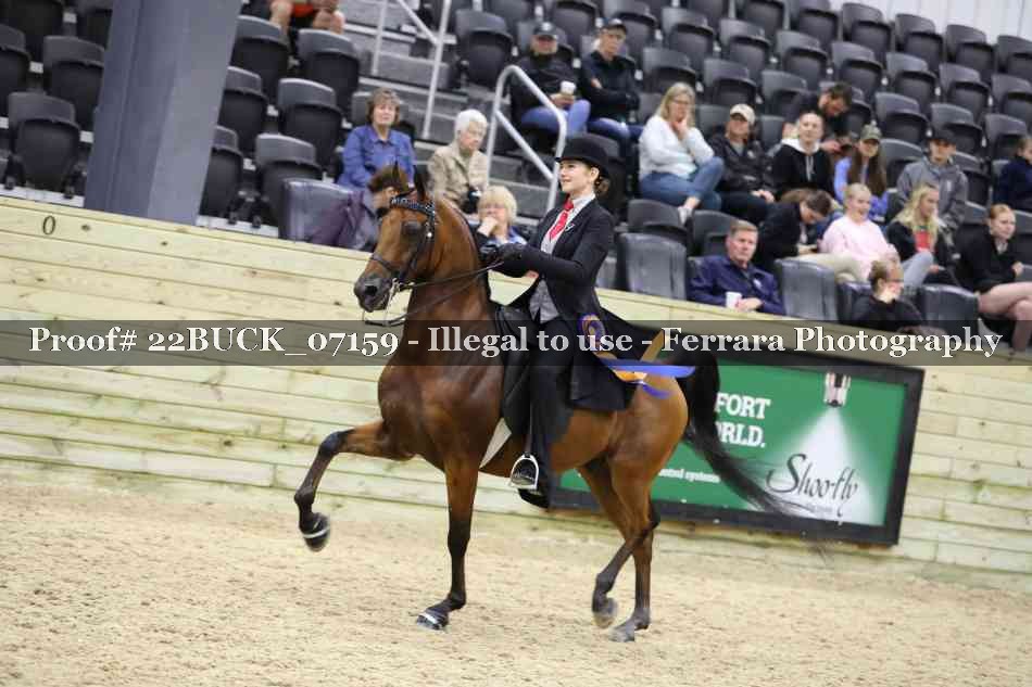 Proof 22BUCK_07159