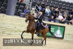 22BUCK_07159 proof