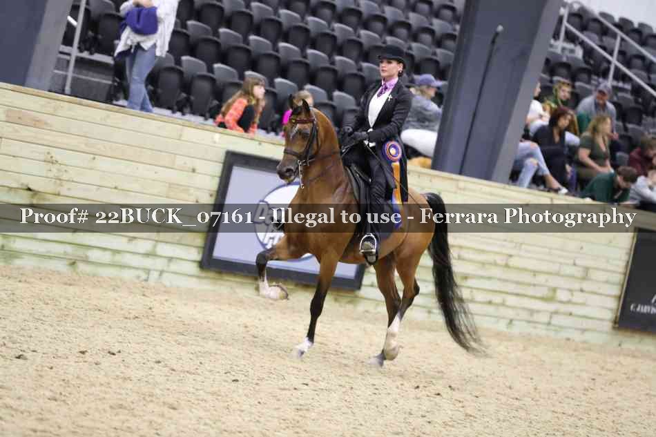 Proof 22BUCK_07161