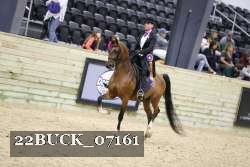 22BUCK_07161 proof