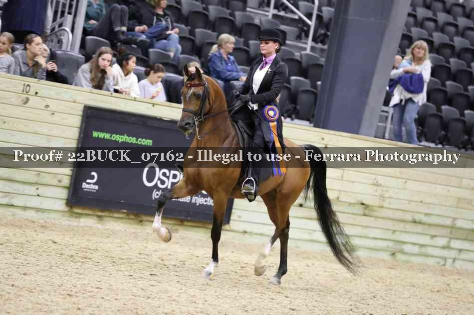 Proof 22BUCK_07162