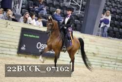 22BUCK_07162 proof