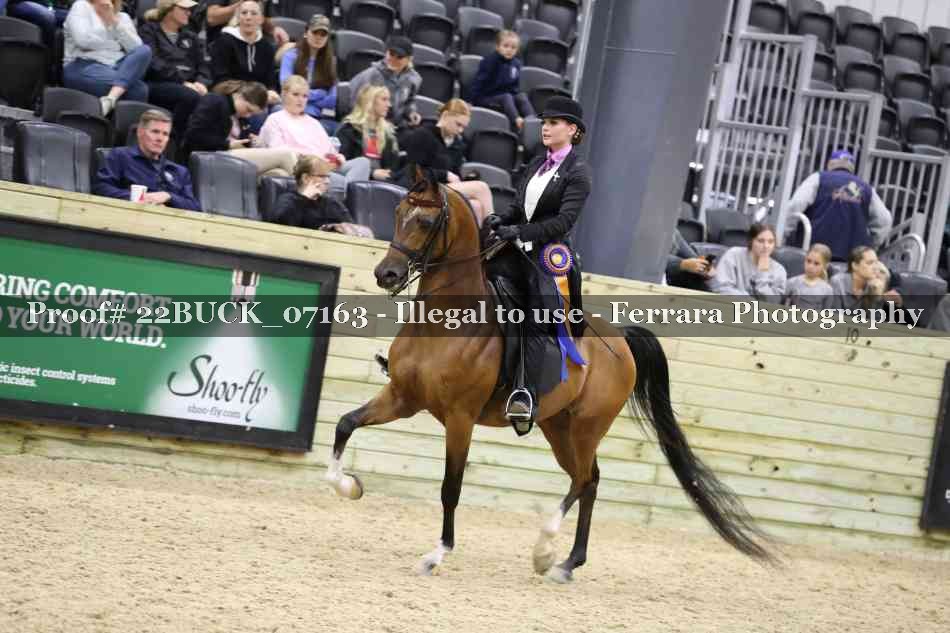 Proof 22BUCK_07163