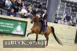 22BUCK_07163 proof