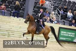 22BUCK_07164 proof