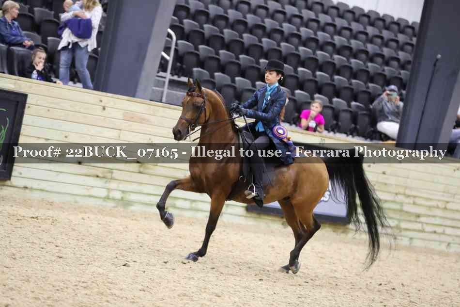 Proof 22BUCK_07165