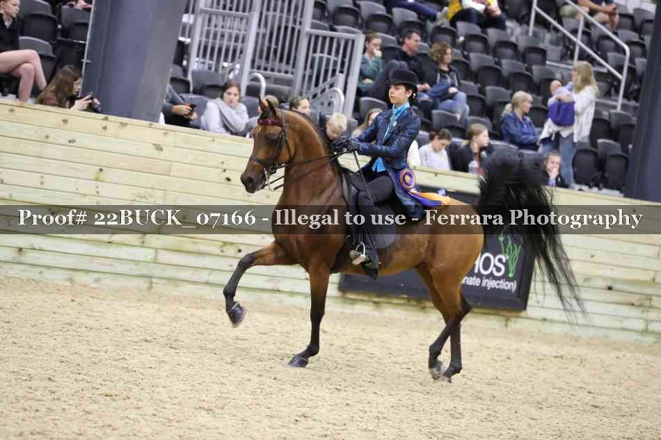 Proof 22BUCK_07166