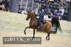 22BUCK_07166 proof