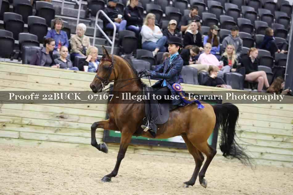 Proof 22BUCK_07167