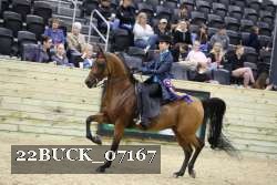 22BUCK_07167 proof