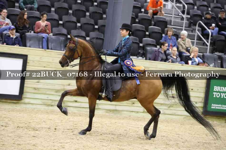 Proof 22BUCK_07168
