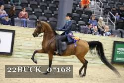 22BUCK_07168 proof