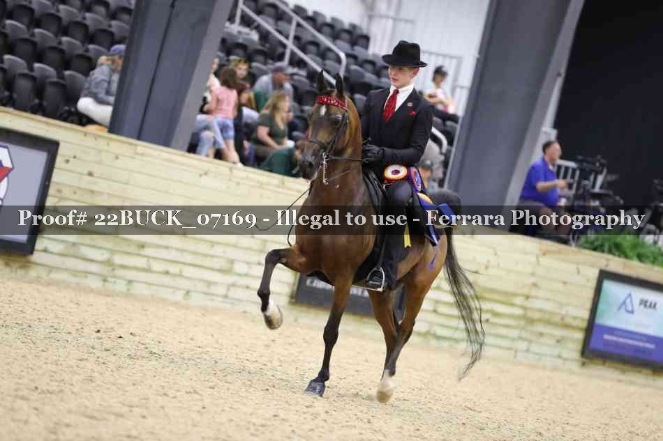 Proof 22BUCK_07169