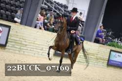 22BUCK_07169 proof