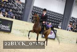 22BUCK_07170 proof