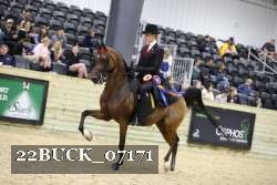 22BUCK_07171 proof